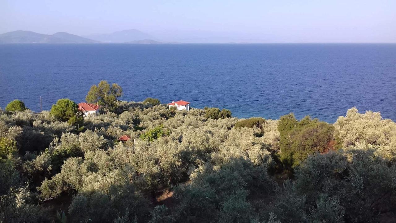 Villa Belian 1 Argalasti Esterno foto